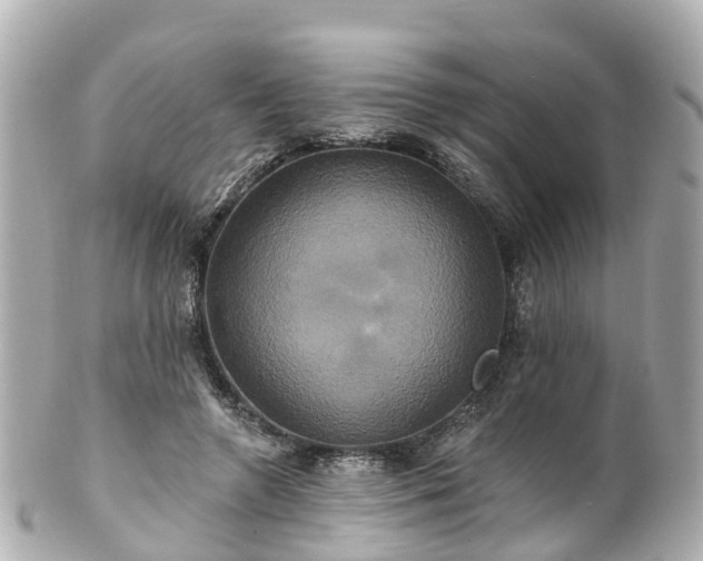 X0000100920546200807011309