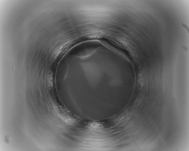 X0000100920547200807011309