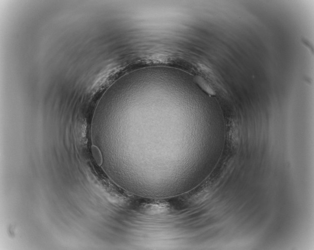 X0000100920548200807011309