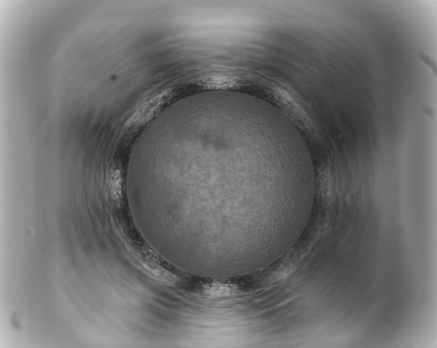 X0000100920549200807011309