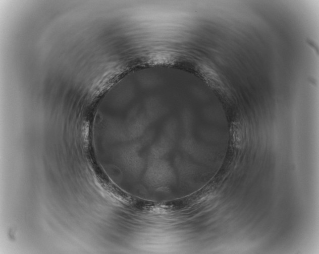 X0000100920550200807011309