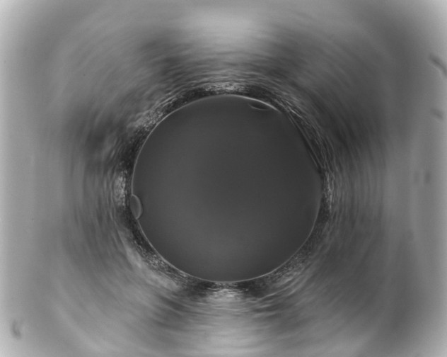 X0000100920551200807011309