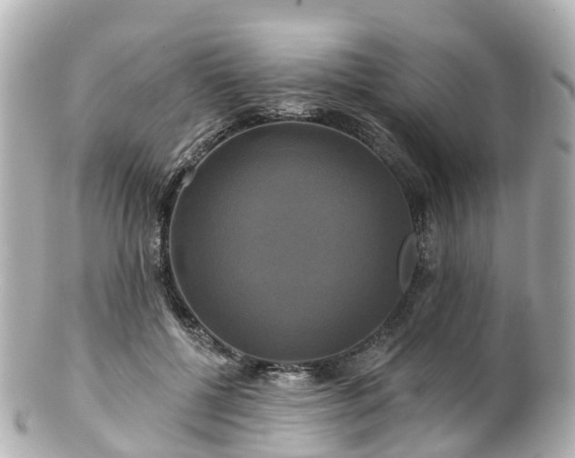 X0000100920552200807011309