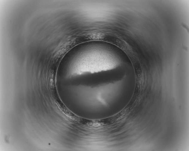 X0000100920553200807011309