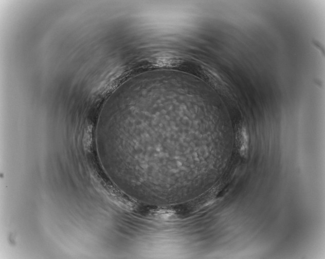 X0000100920554200807011309