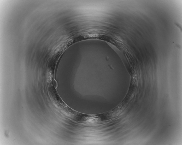 X0000100920555200807011309