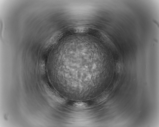 X0000100920557200807011309