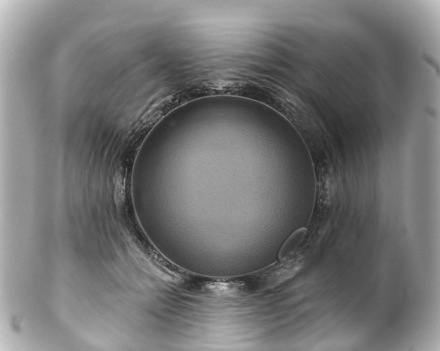 X0000100920558200807011309