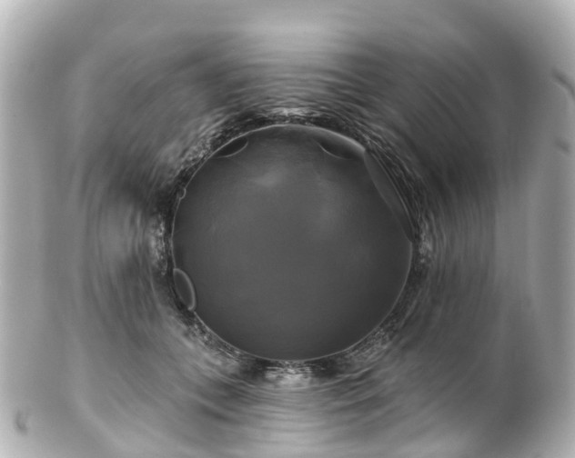 X0000100920559200807011309