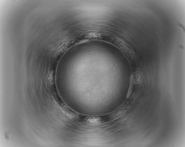 X0000100920560200807011309