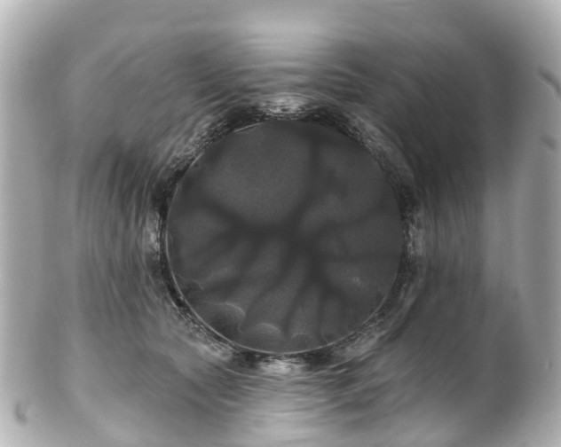 X0000100920561200807011309