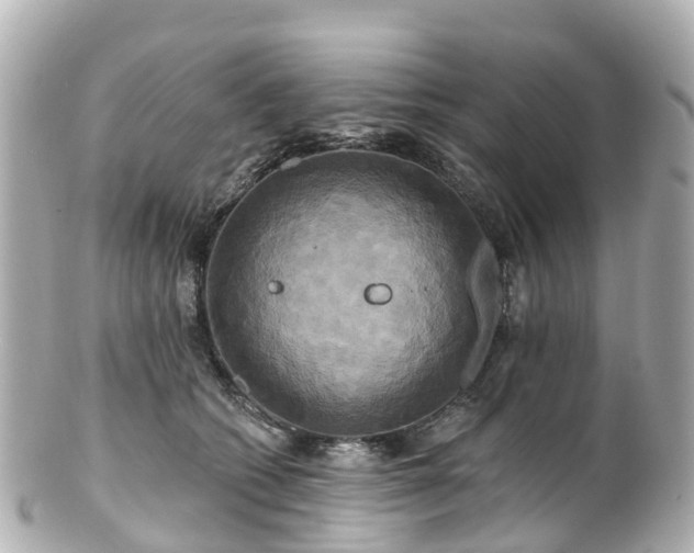 X0000100920562200807011309