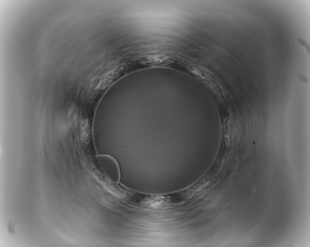 X0000100920563200807011309