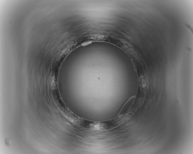 X0000100920564200807011309