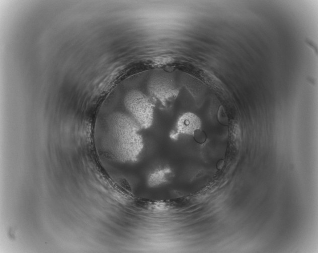 X0000100920565200807011309