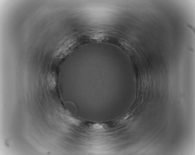 X0000100920566200807011309