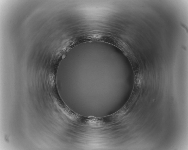 X0000100920568200807011309