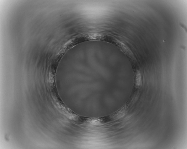 X0000100920569200807011309