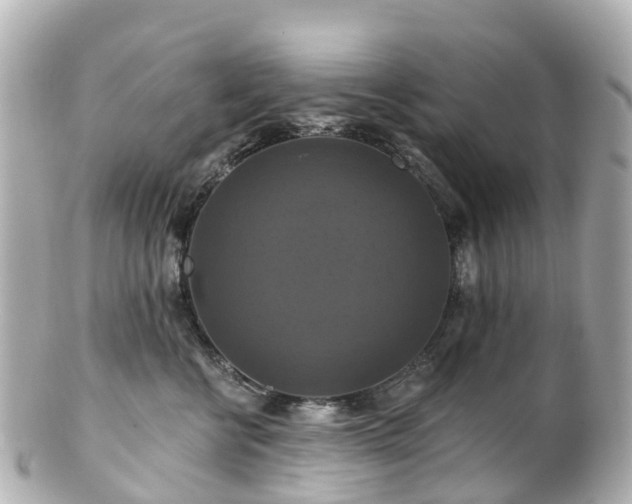 X0000100920570200807011309