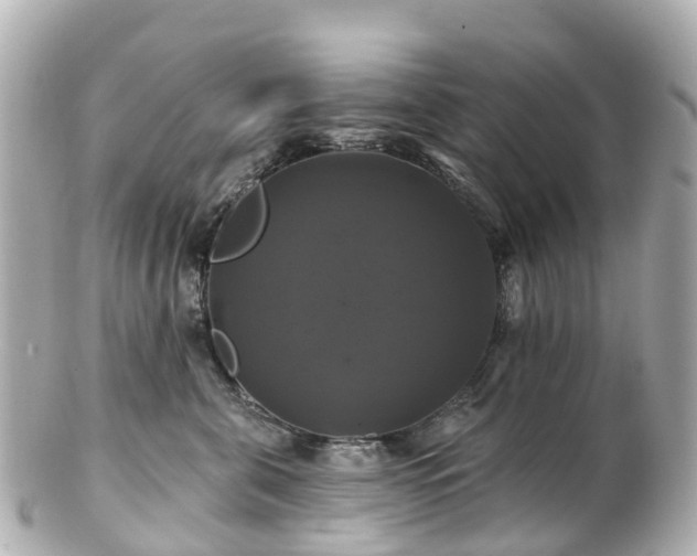 X0000100920571200807011309