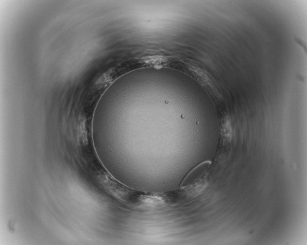 X0000100920572200807011309