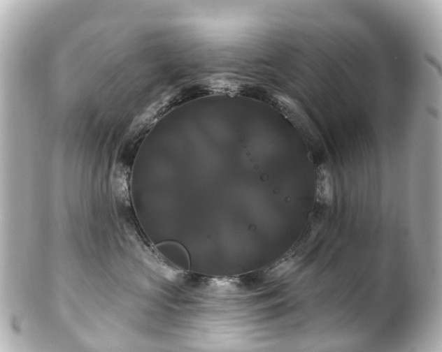 X0000100920573200807011309