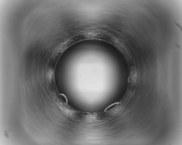 X0000100920574200807011309