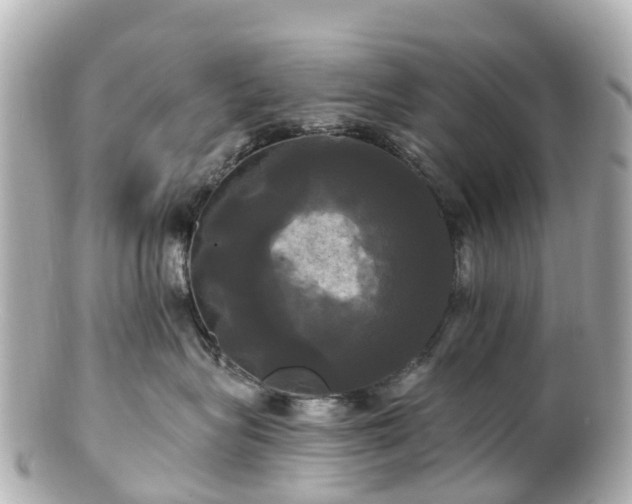 X0000100920575200807011309