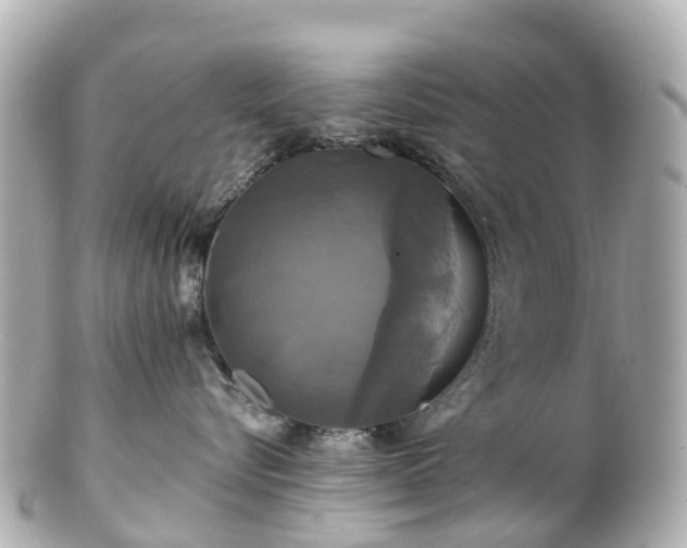 X0000100920576200807011309