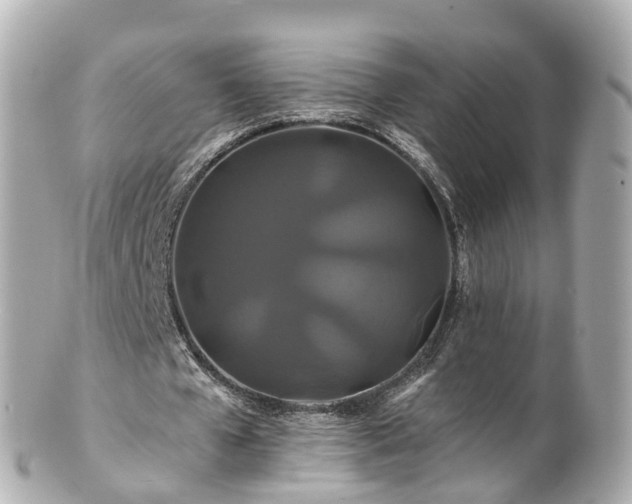 X0000100920577200807011309