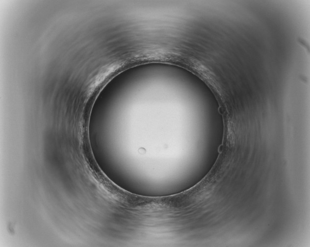 X0000100920578200807011309