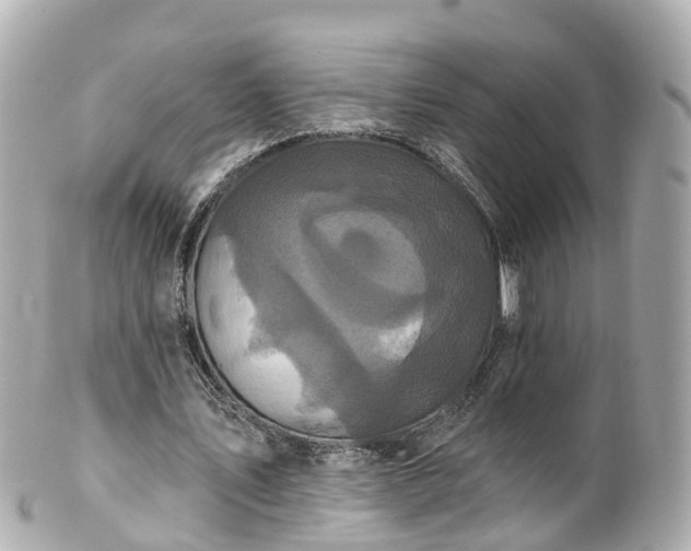 X0000100920579200807011309