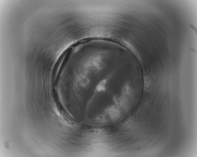 X0000100920580200807011308