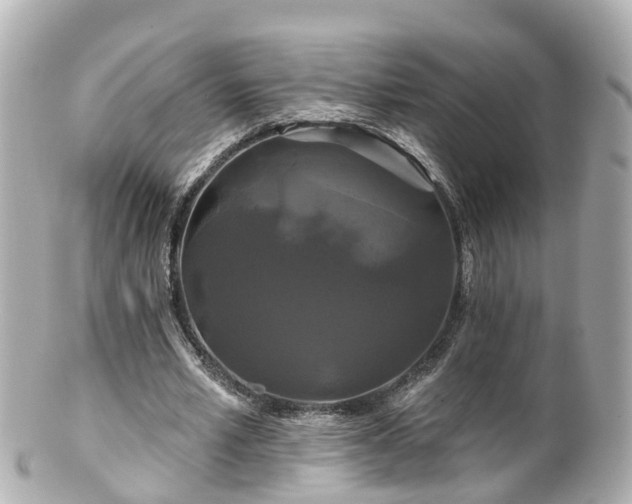 X0000100920581200807011308