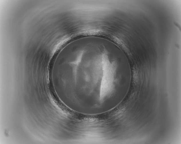 X0000100920582200807011308