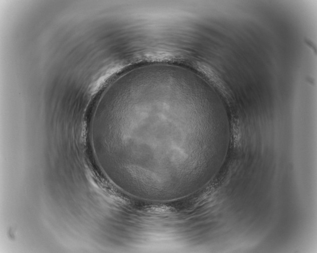 X0000100920583200807011308