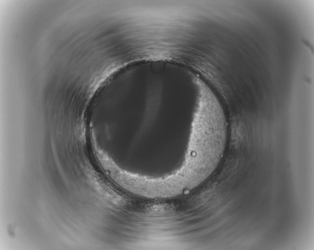 X0000100920584200807011308