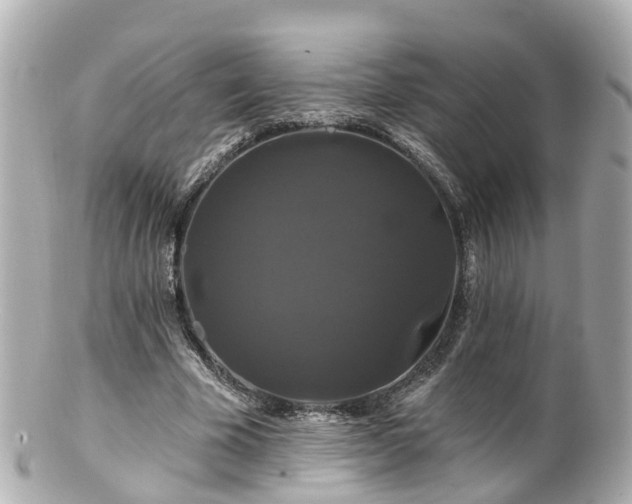 X0000100920585200807011308