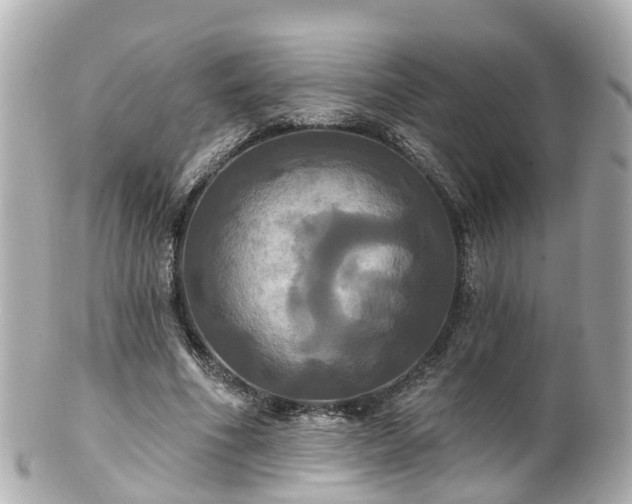 X0000100920586200807011308