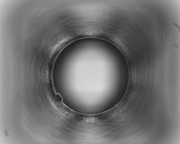 X0000100920587200807011308