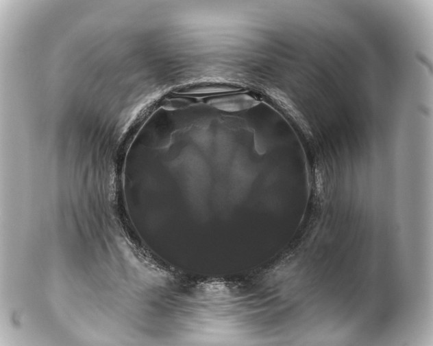 X0000100920588200807011308