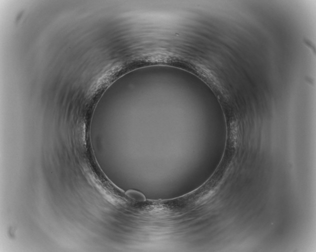 X0000100920589200807011308