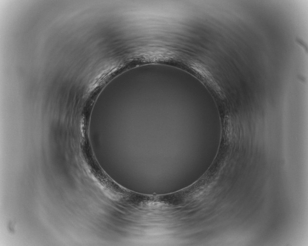 X0000100920590200807011308