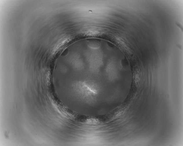 X0000100920591200807011308