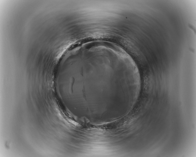 X0000100920592200807011308