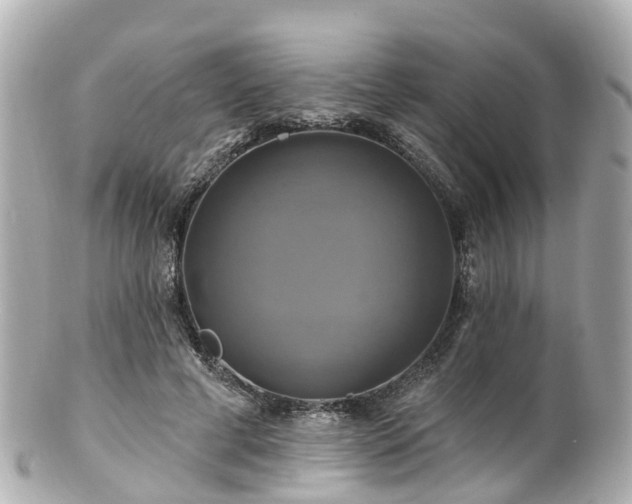 X0000100920593200807011308