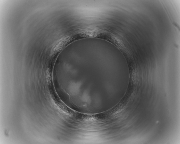 X0000100920594200807011308