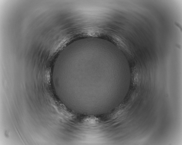 X0000100920595200807011308