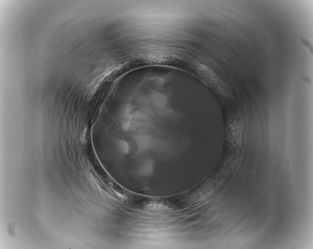 X0000100920596200807011308