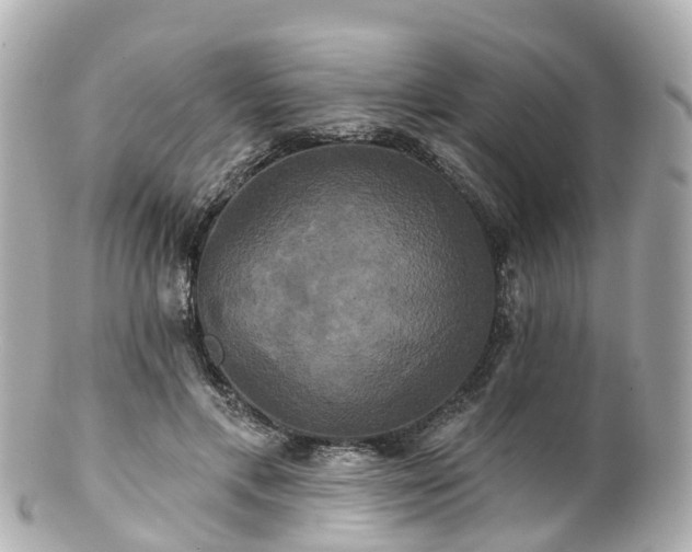 X0000100920597200807011308